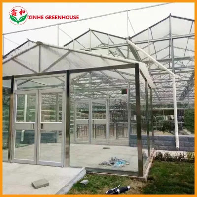 Hot Galvanized Steel Frame Flower House with Good Service